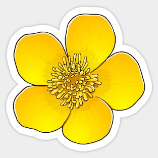 Buttercup flower lover Sticker